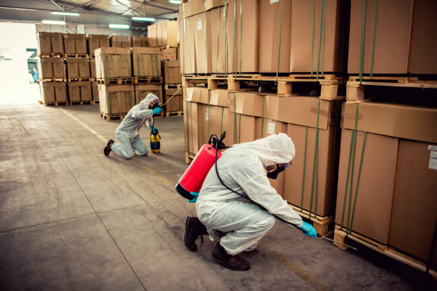 Best Mosquito Control Services  in Fall River, MA