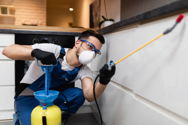Best Flea Control Services  in Fall River, MA