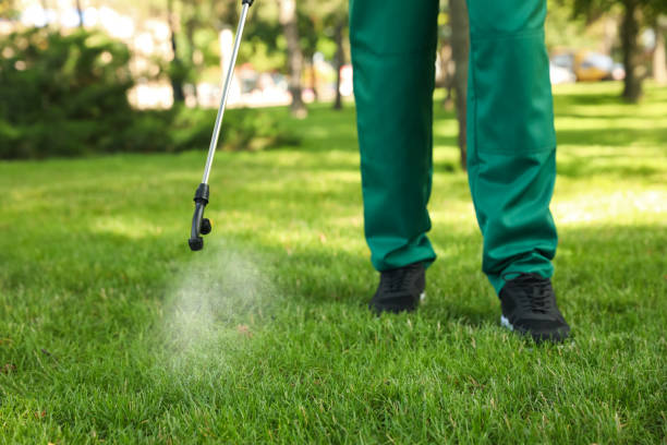 Best Bed Bug Extermination  in Fall River, MA