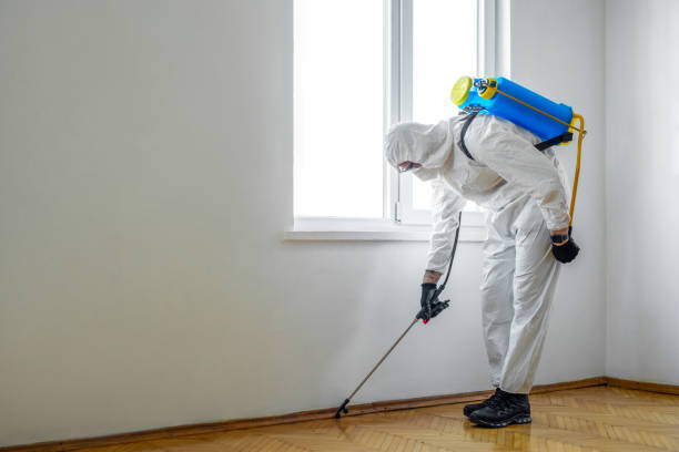 Best Mosquito Control Services  in Fall River, MA